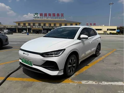 2024 BYD e2 Honor Edition Luxury, фото 1, лот 10258129