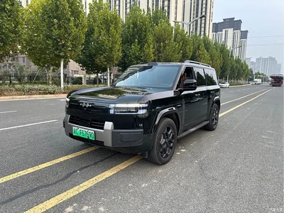 2025 Byd Titanium 7 AWD Base Model, фото 3, лот 11564764