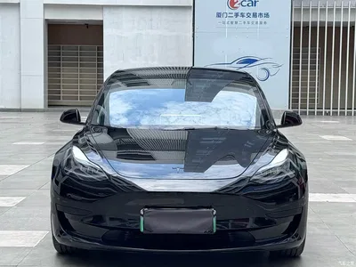 2021 Tesla Model 3 Standard Range Rear-Wheel Drive Upgrade 3D6, фото 2, лот 10354941