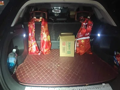 2022 Hongqi HS5 Facelift 2.0T Smart Flag Enjoyment Edition, фото 4, лот 10304318