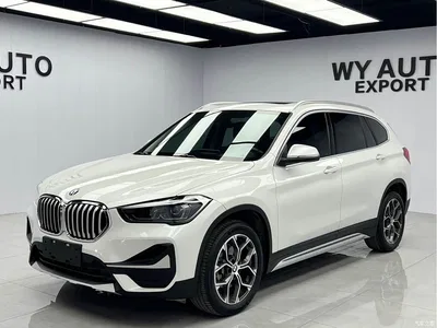 2022 BMW X1 sDrive20Li Premium, фото 1, лот 10599698