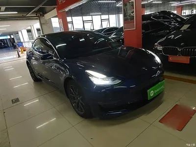 2020 Tesla Model 3 Facelift Long Range Rear-Wheel Drive, фото 4, лот 10390328