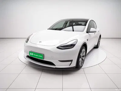 2022 Tesla Model Y Rear-Wheel Drive Version, фото 1, лот 10699410