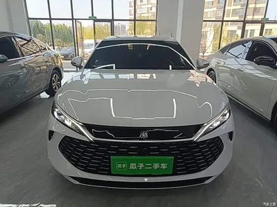 2024 BYD Qin L DM-i 80KM Superior, фото 3, лот 10265736