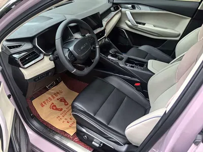 2021 Lynk & Co 06 1.5T Shero Pink Special Edition, фото 4, лот 10313822