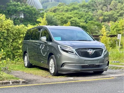 2017 Buick GL8 ES 28T Premium China V, фото 1, лот 10400925
