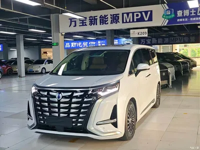 2024 Denza D9 DM-i 1050 Premium, фото 1, лот 10362161