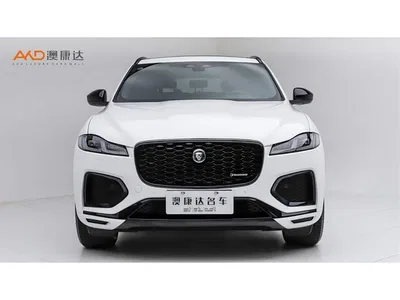 2024 Jaguar F-PACE P250 R-Dynamic SE, фото 2, лот 10304372