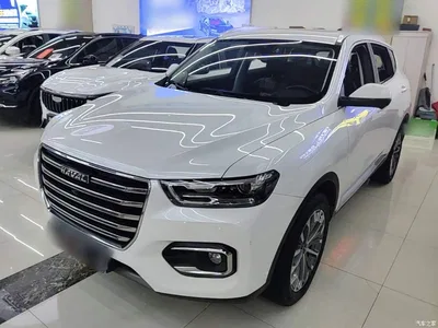 2020 Haval H6 1.5GDIT Automatic Platinum Champion Edition, фото 2, лот 11205969