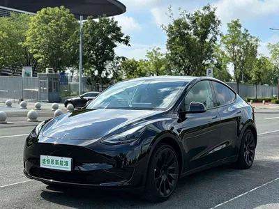 2022 Tesla Model Y Facelift Rear-Wheel Drive Version, фото 1, лот 10451967