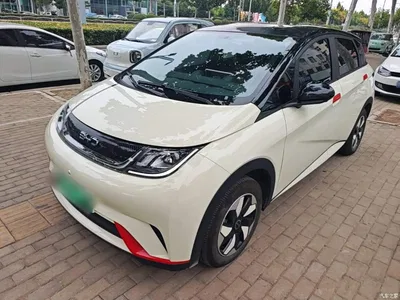 2025 BYD Dolphin 420km Freedom Edition, фото 2, лот 10389948