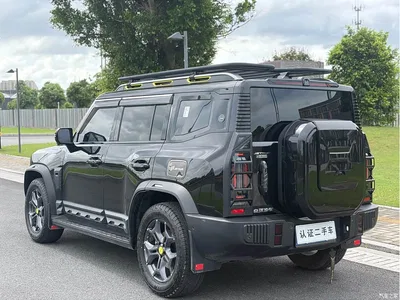 2023 Jetour Traveler 2.0T 4WD Cross PRO+, фото 3, лот 10427808
