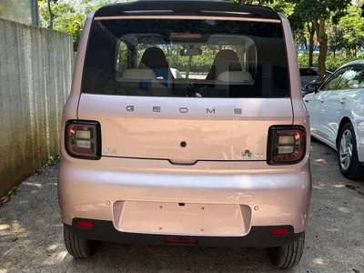 2025 Geely Galaxy Panda Model Year 210km Panda Kart, фото 4, лот 10430144