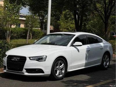 2013 Audi A5 (Import) Sportback 40 TFSI, фото 1, лот 10393751