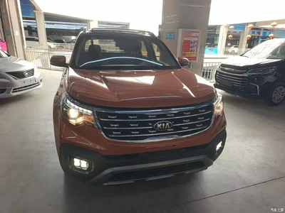 2018 Kia Sportage 2.0L Automatic Smart Luxury (China V), фото 3, лот 10337605