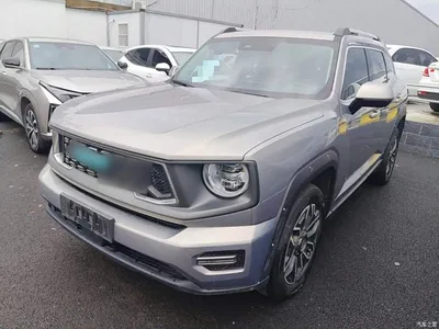 2023 Haval Second-Generation Big Dog New Energy DHT-PHEV 105km Trendy Electric Edition Plus, фото 2, лот 11170807