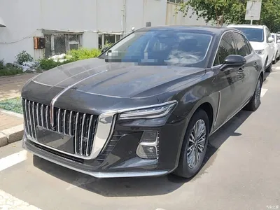 2023 Hongqi H5 2.0T Auto Smart Connect Flag Enjoy, фото 1, лот 10289631
