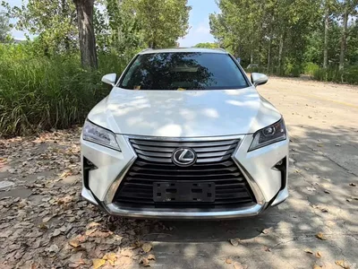 2016 Lexus RX 300 2WD Elite Edition China VI, фото 3, лот 10319094