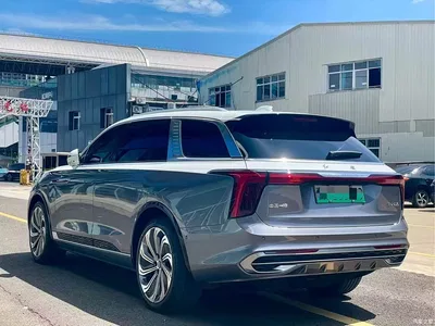 2022 Hongqi E-HS9 660km Qi Ling Edition (4-seater), фото 4, лот 10288356