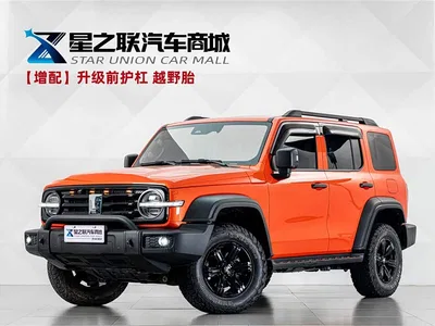 2021 Tank 300 Off-road Version 2.0T Conqueror, фото 1, лот 10344069