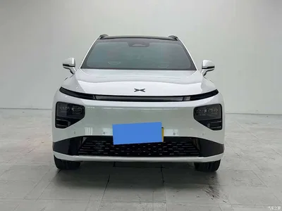 2022 XPeng G9 650 Performance Max, фото 2, лот 10765883