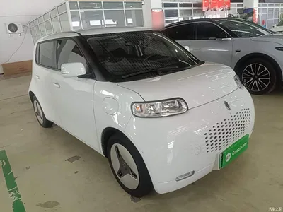 2020 Ora White Cat 360km Luxury Model, фото 4, лот 10330914