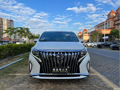 2021 GAC Trumpchi Trumpchi M8 Leading Show Series 390T Prestige Edition, фото 2, лот 10417921
