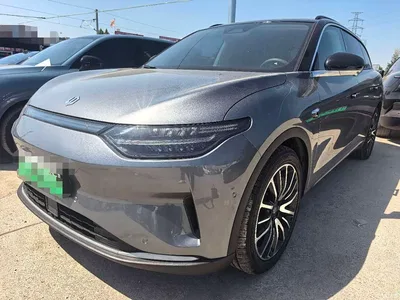 2021 Leapmotor C11 Model Premium Edition, фото 1, лот 10317625