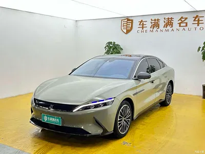 2021 BYD Han EV Standard Range Luxury, фото 1, лот 10841974