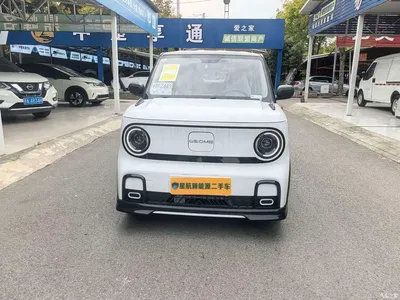2025 Geely Galaxy Panda Model Year 210km Panda Kart, фото 3, лот 10625687