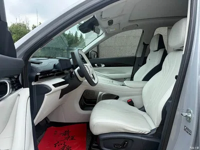 2024 Geely Galaxy Galaxy E5 530km Starship Edition, фото 4, лот 11134098