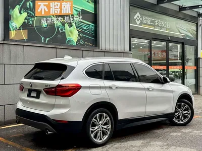 2018 BMW X1 sDrive20Li Leading Model, фото 3, лот 10431946