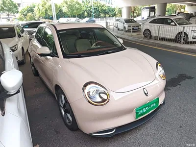 2021 Ora Good Cat 400km Standard Range Athena Edition (LFP), фото 4, лот 10330718