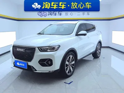 2021 Haval H6 Model 1.5T Automatic Champion Edition, фото 1, лот 11201830