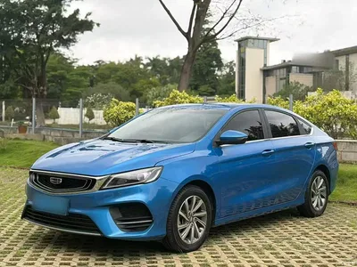 2019 Geely Binrui 200T DCT Binshi Edition, фото 2, лот 10311870