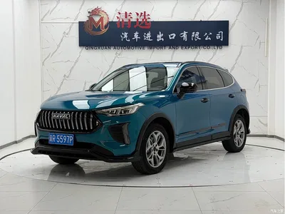 2022 Haval Chitu Power Edition 1.5T Purple Copper Rabbit, фото 1, лот 10282104