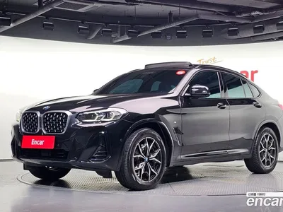 2023 BMW X4 xDrive20d M Sport, фото 1, лот 10219509