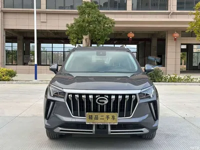 2021 GAC Trumpchi Trumpchi GS4 PLUS 390T Automatic Stellar Edition, фото 2, лот 10427710