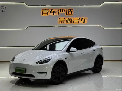 2022 Tesla Model Y Facelift Rear-Wheel Drive Version, фото 1, лот 11212094