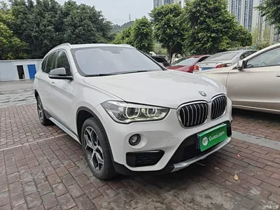 2018 BMW X1 sDrive18Li Premium Model, фото 4, лот 10662394