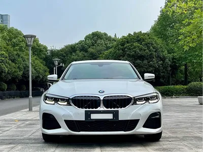 2021 BMW 3 Series 320Li M Sport Package, фото 2, лот 11549324