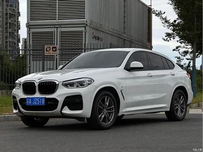 2020 BMW X4 xDrive25i M Sport Package, фото 1, лот 10476892