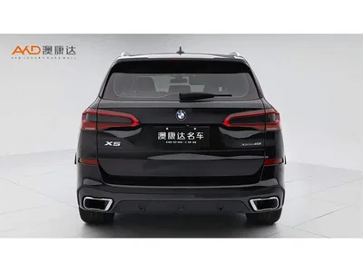 2019 BMW X5 (Import) xDrive40i M Sport Package, фото 4, лот 10430580