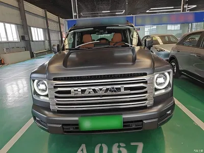 2024 Haval H9 2.0T Gasoline AWD Extreme Edition, фото 3, лот 10287175