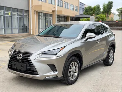 2020 Lexus NX 200 FWD Fengyi Edition China VI, фото 1, лот 10312885