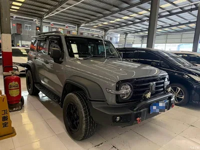 2021 Tank 300 Off-road Version 2.0T Conqueror, фото 3, лот 10766426