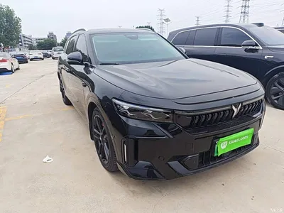 2024 Voyah Auto VOYAH FREE Ultra Long Range Intelligent Driving Edition, фото 4, лот 10311614