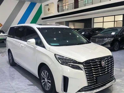 2023 Buick GL8 ES Landmaster Exclusive, фото 3, лот 10256582
