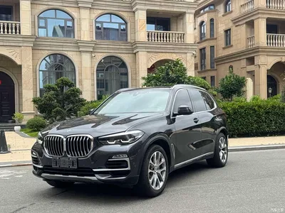 2019 BMW X5 (Import) xDrive30i M Sport Package, фото 1, лот 10463531