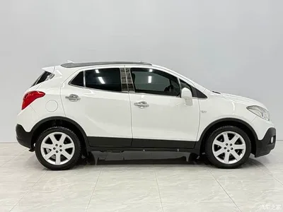 2015 Buick Encore 1.4T Automatic 2WD Urban Elite, фото 2, лот 10250966